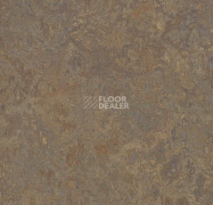 Линолеум Forbo Marmoleum Marbled Vivace 3426-342635 cork tree фото 1 | FLOORDEALER